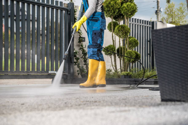 Best Dumpster Area Cleaning  in Limestone Creek, FL